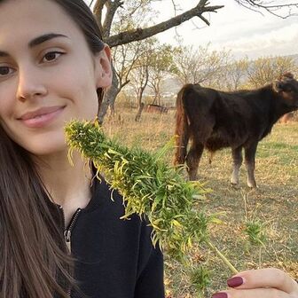 Фото галереи